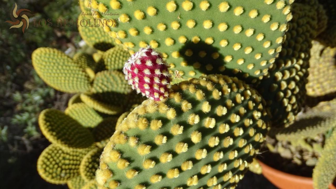 Los Remolinos Merlo Eksteriør bilde